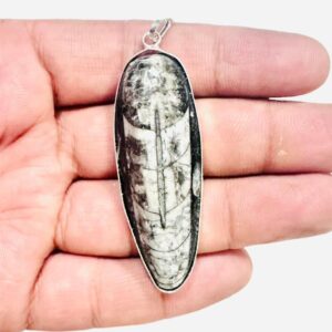 Orthoceras pendant