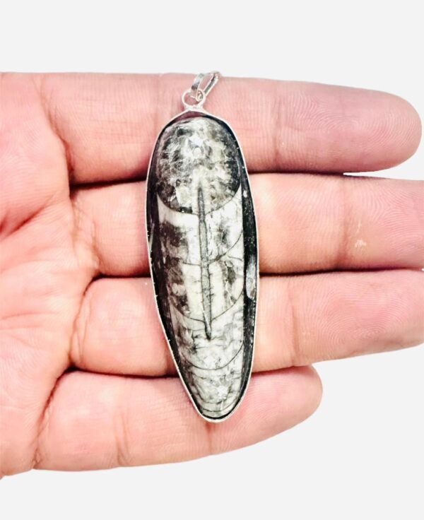 Orthoceras pendant